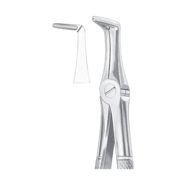 EXTRACTING FORCEPS ' ENGLISH PATTERN'